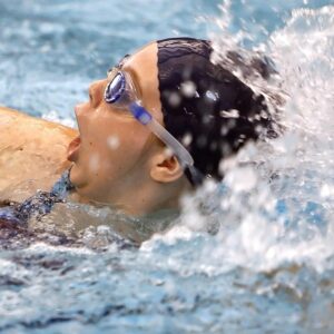 Sin imagen disponible